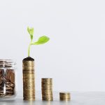 Diversifying Your Portfolio with Collectibles: Strategies for Success