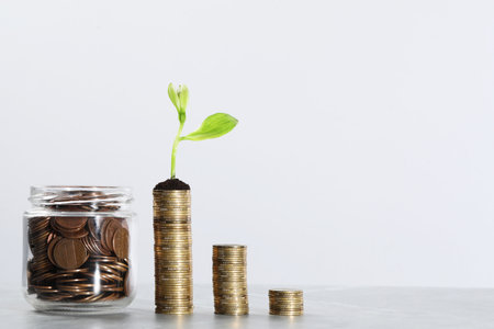 Diversifying Your Portfolio with Collectibles: Strategies for Success