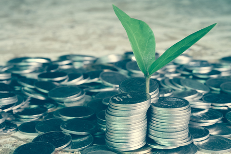The Role of Behavioral Finance in Investment Decision-Making