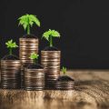 The Saver’s Credit: How Low- and Moderate-Income Earners Can Maximize Retirement Savings