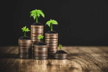 The Saver’s Credit: How Low- and Moderate-Income Earners Can Maximize Retirement Savings