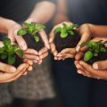 Charitable Giving and RMDs: How Qualified Charitable Distributions (QCDs) Can Benefit You
