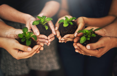 Charitable Giving and RMDs: How Qualified Charitable Distributions (QCDs) Can Benefit You
