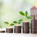 The Role of Dividend ETFs: Should You Invest in Them?