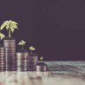 The Role of Index Funds in a Diversified Investment Portfolio