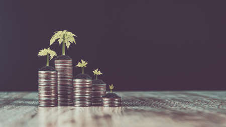 The Role of Index Funds in a Diversified Investment Portfolio