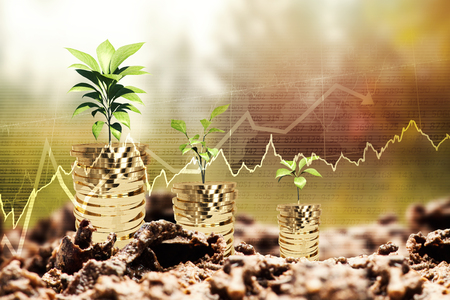 Opportunities in ESG Investing
